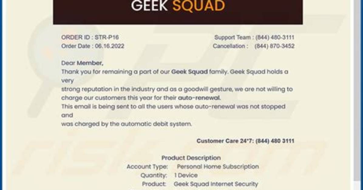 Does Geek Squad Do Bios Update?