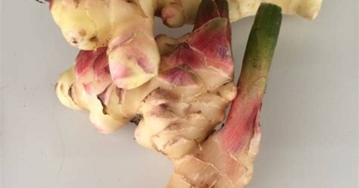 Does Ginger Root Need to Be Organic?