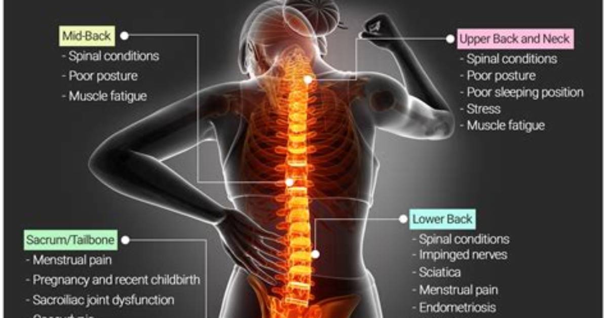 Does Glomerulonephritis Cause Back Pain?