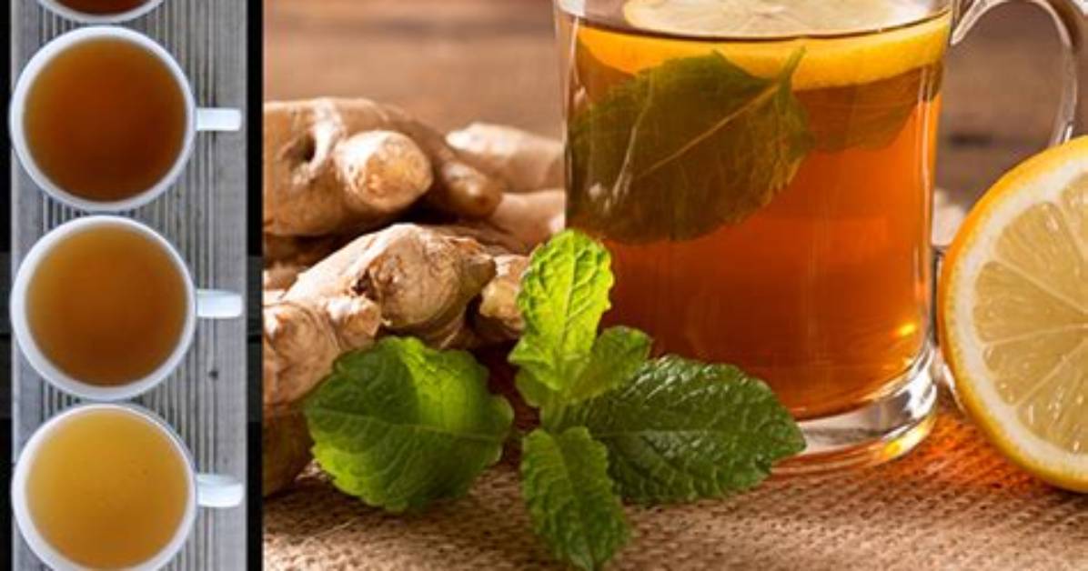 Does Green Tea Burns Fat