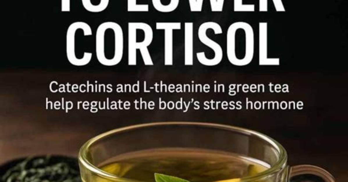 Does Green Tea Reduce Cortisol?