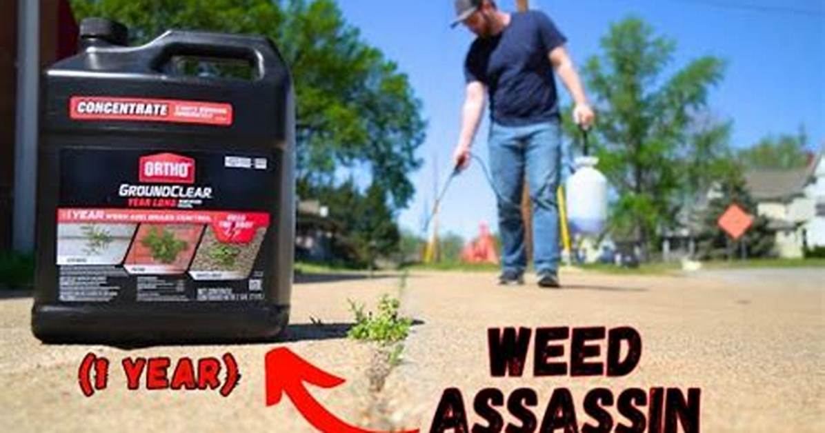 Does Groundclear Kill Plants?