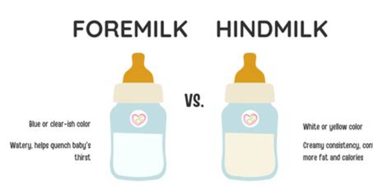 Does Haakaa Get Hindmilk?