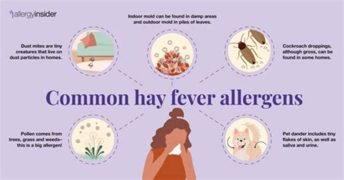 Does Hay Fever Make You Sick?