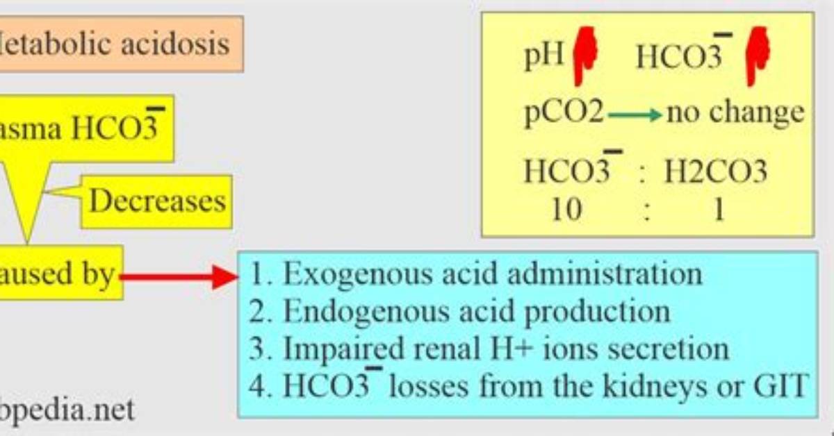 Does Hco3 Increase pH? | Contextresponse. Com