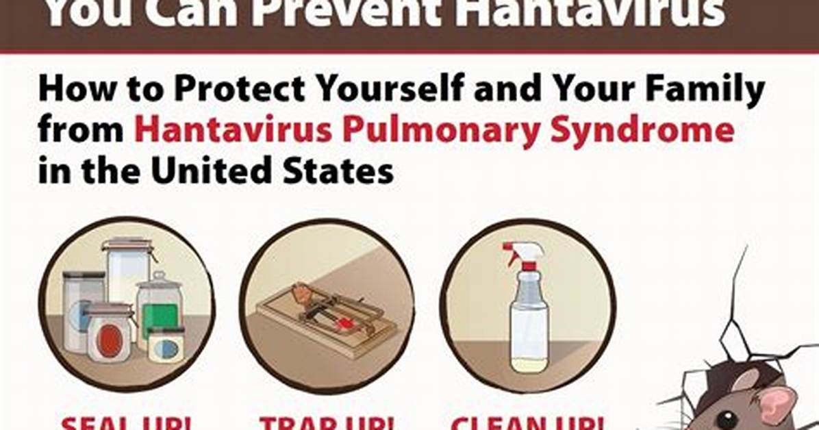 Does Heat Kill Hantavirus? | Contextresponse. Com