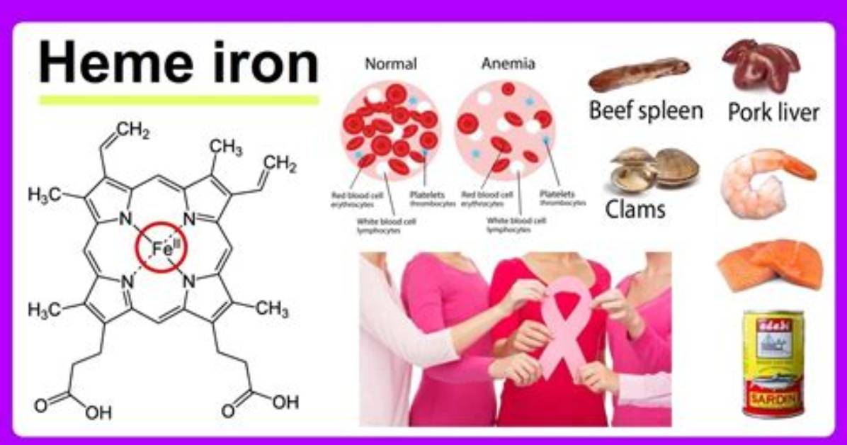 Does Heme Iron Cause Inflammation?