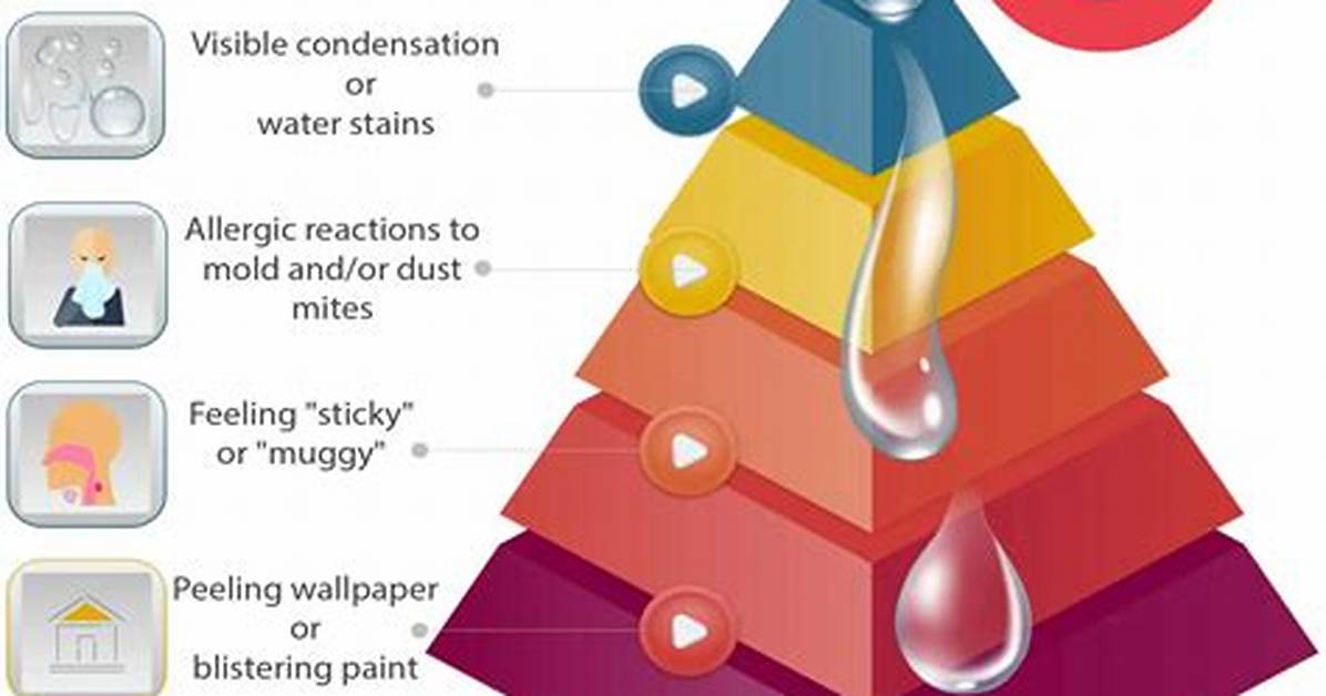 Does High Humidity Cause Mildew