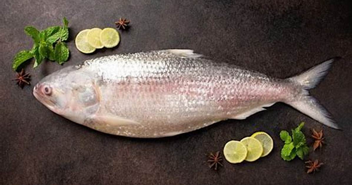 Does Hilsa Fish Have Mercury?