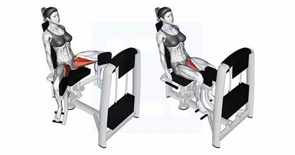 Does Hip Adduction Make Thighs Smaller?