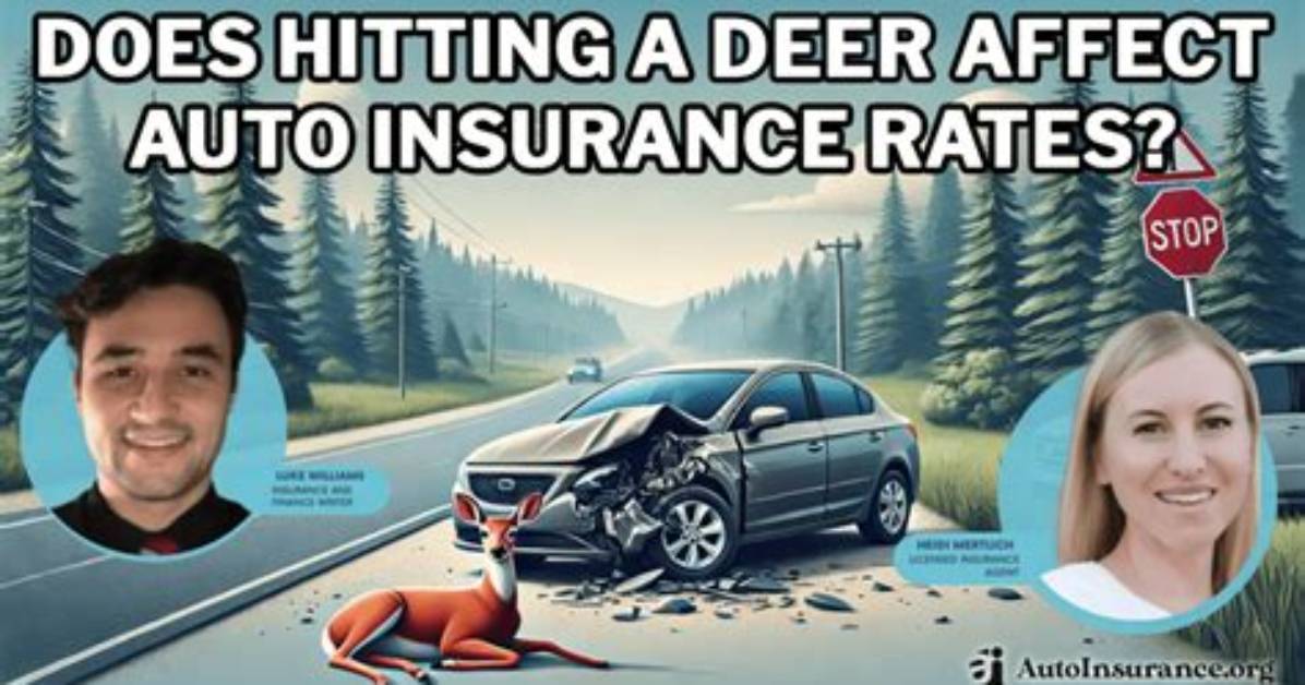 Does Hitting Deer Affect Insurance?
