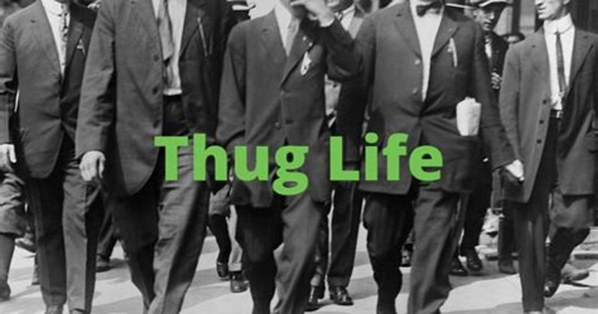 Does Hoodlum Mean Thug?