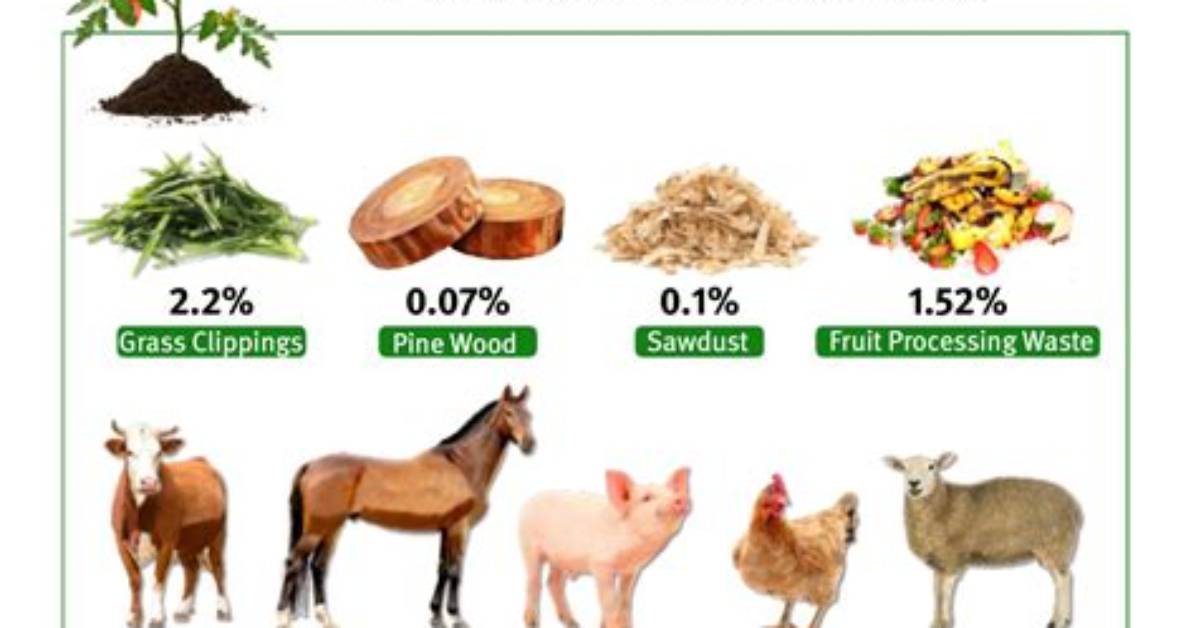 Does Horse Manure Contain Nitrogen