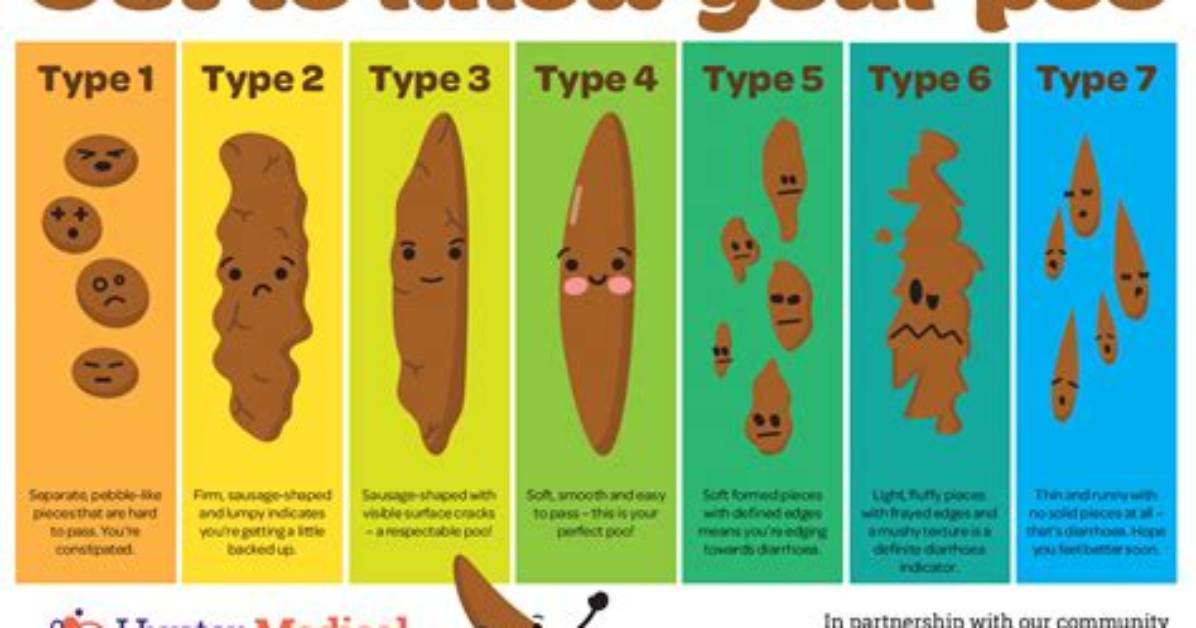 Does Human Poop Have Diseases