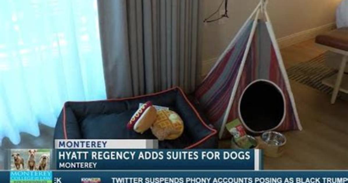 Does Hyatt Regency Allow Pets?