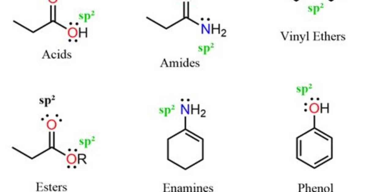 Does Hybridization Include Lone Pairs?