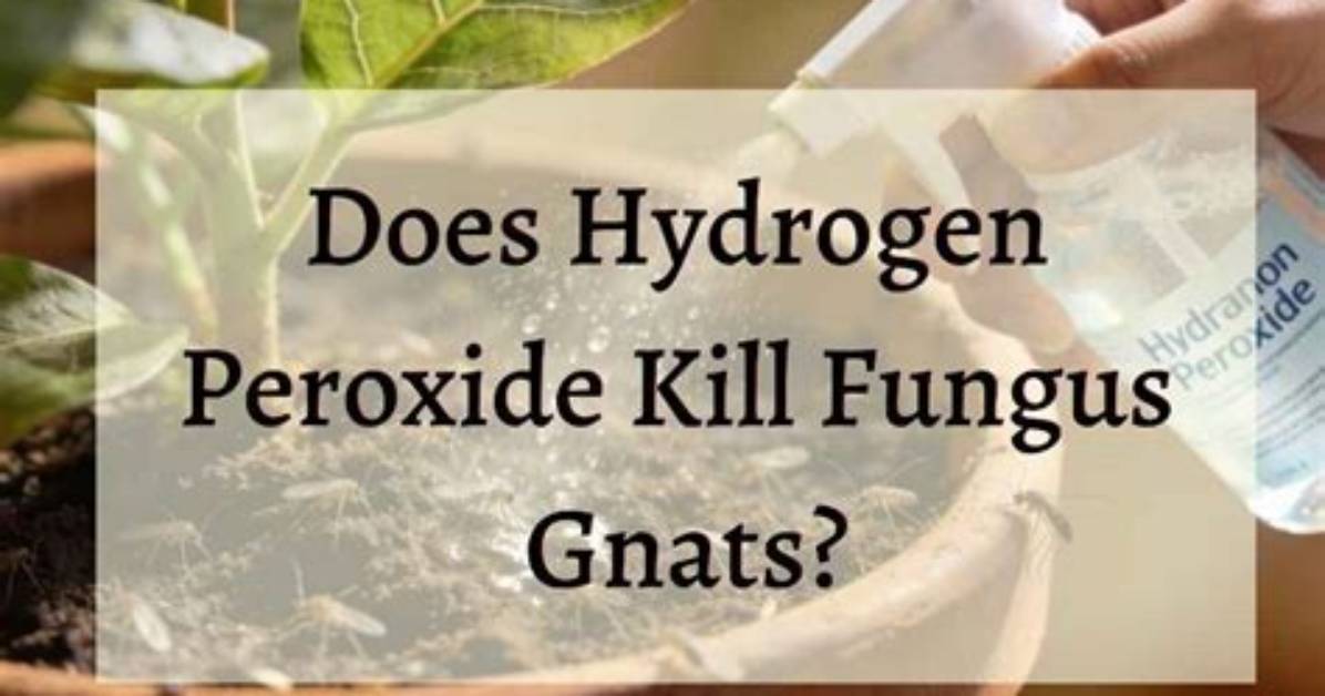 Does Hydrogen Peroxide Kill Botrytis?