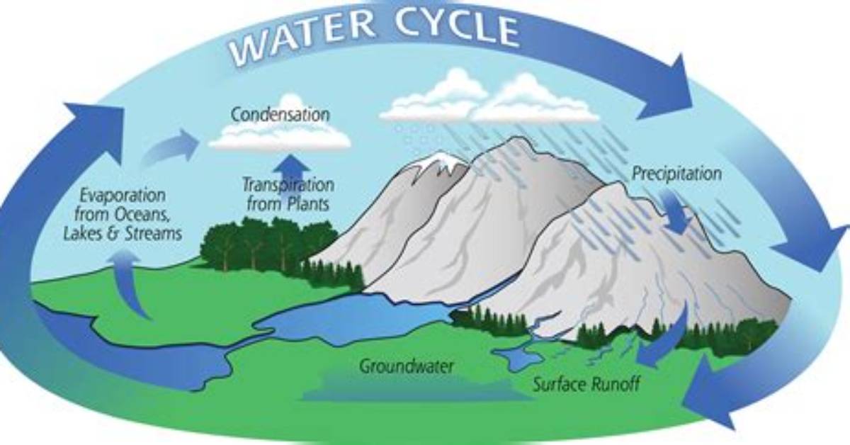 Does Hydrologic Cycle Mean?
