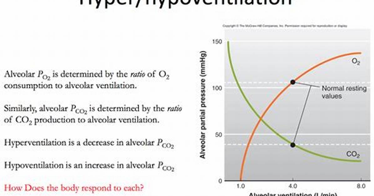 Does Hyperventilation Increase Po2
