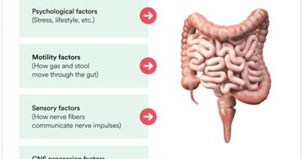 Does Ibs Cause Queasiness?