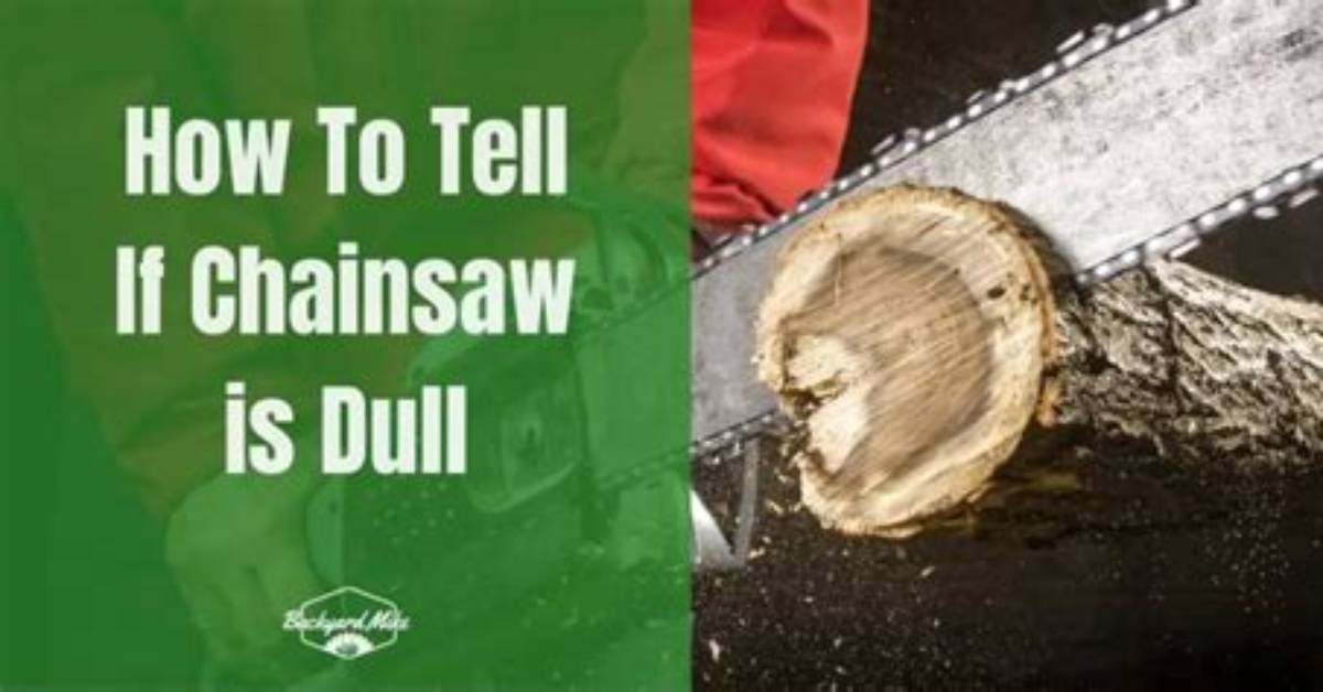 Does Ice Dull a Chainsaw?