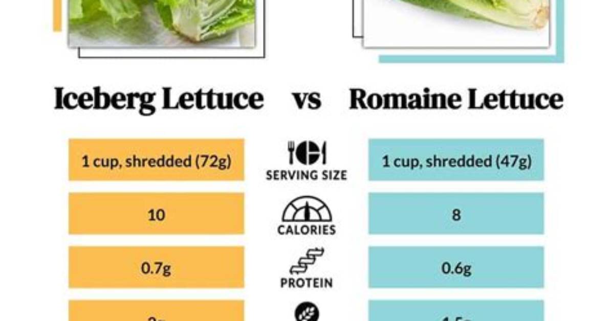 Does Iceberg Lettuce Have Vitamins
