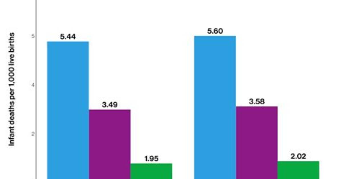 Does Infant Mortality Rate Include Neonates?
