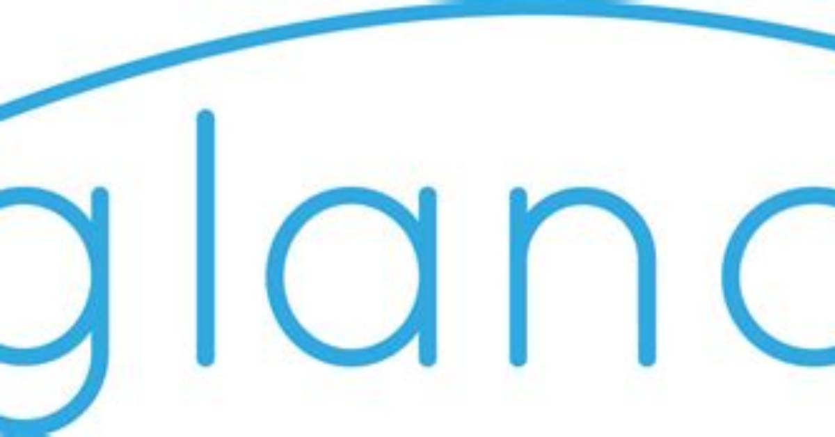 Does Intuit Use Glance
