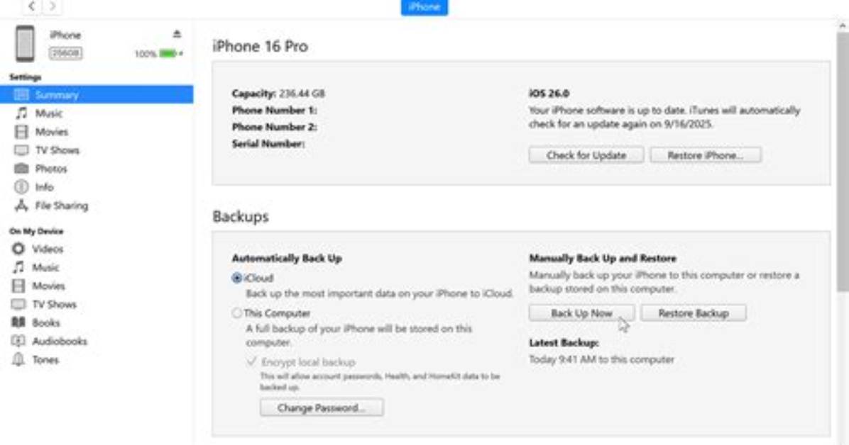 Does iOS 13 Work with iTunes?