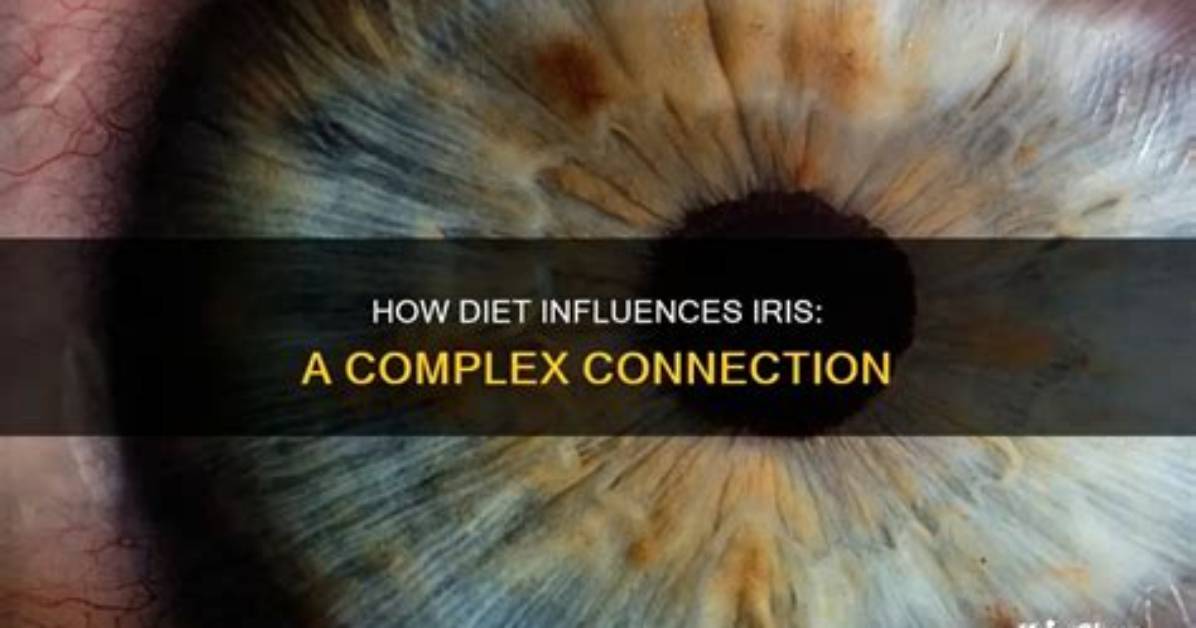 Does Iris Change with Age