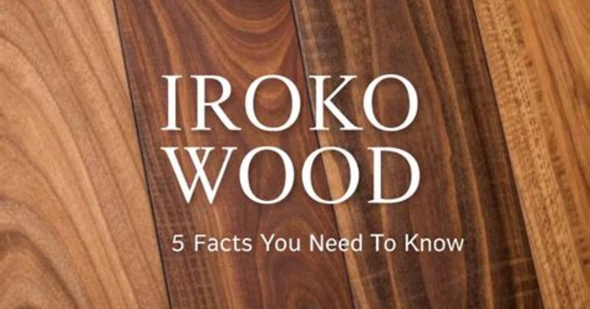 Does Iroko Need Treating