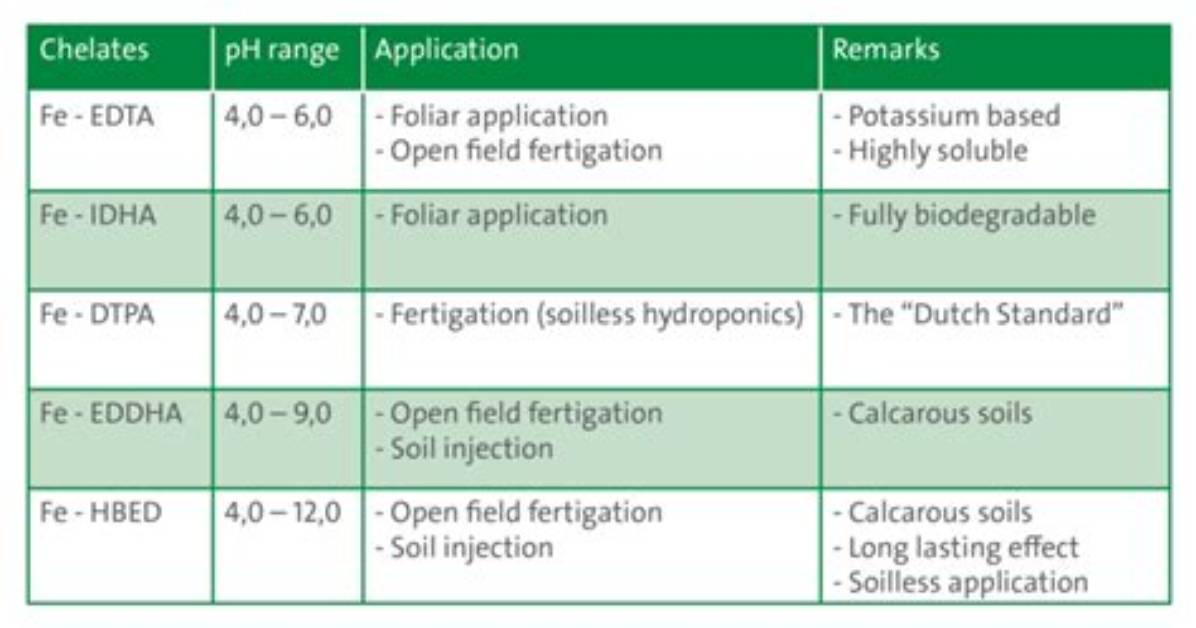 Does Iron Chelate Lower pH