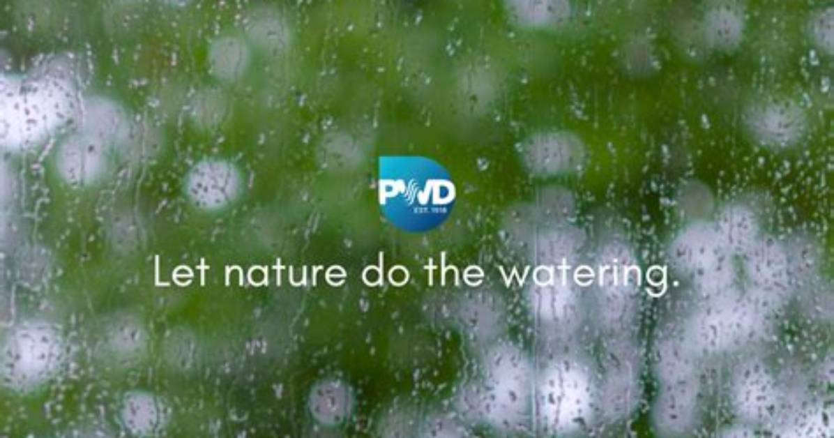 Does It Rain in Palmdale?