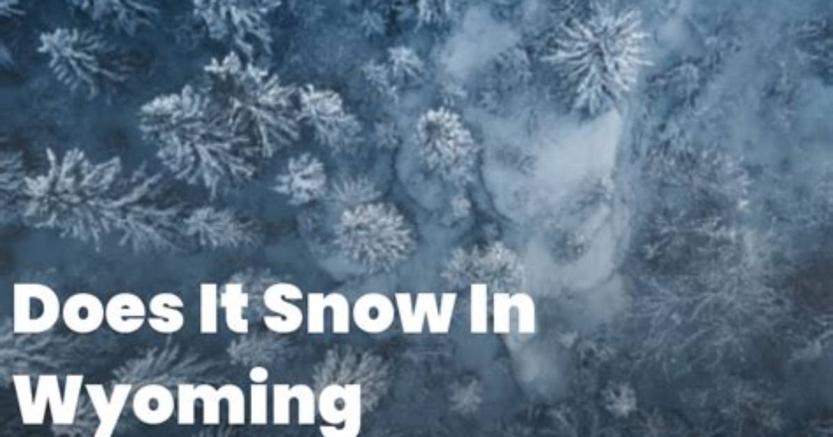 Does It Snow in Wyoming?