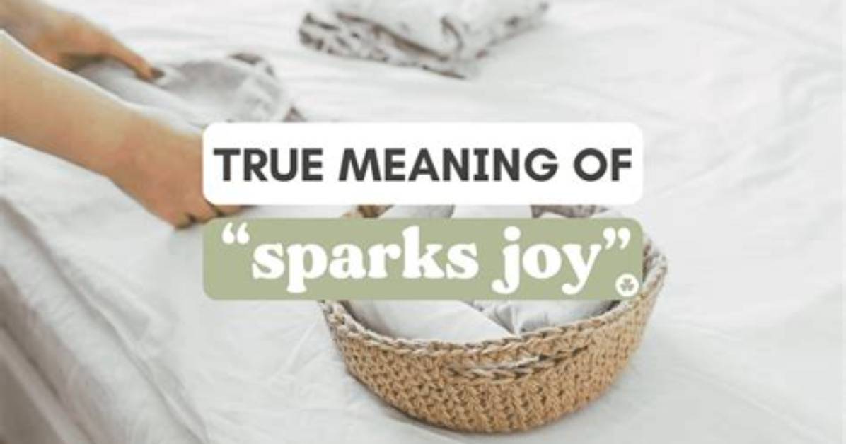 Does It Spark Joy Meaning
