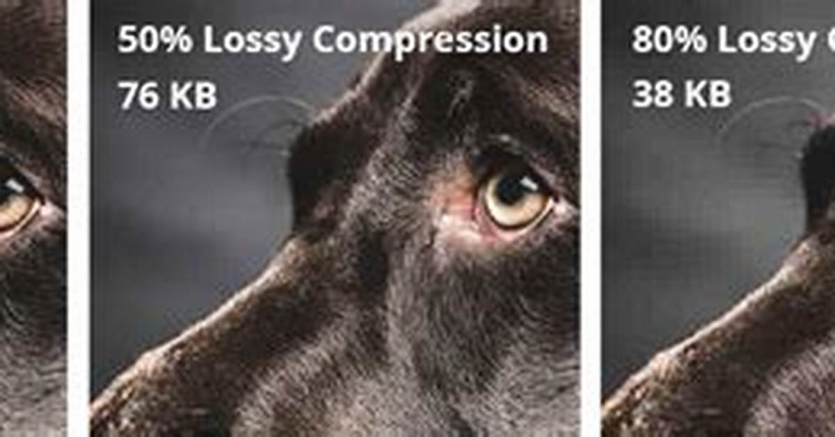 Does Jpeg Use Lossy Compression?