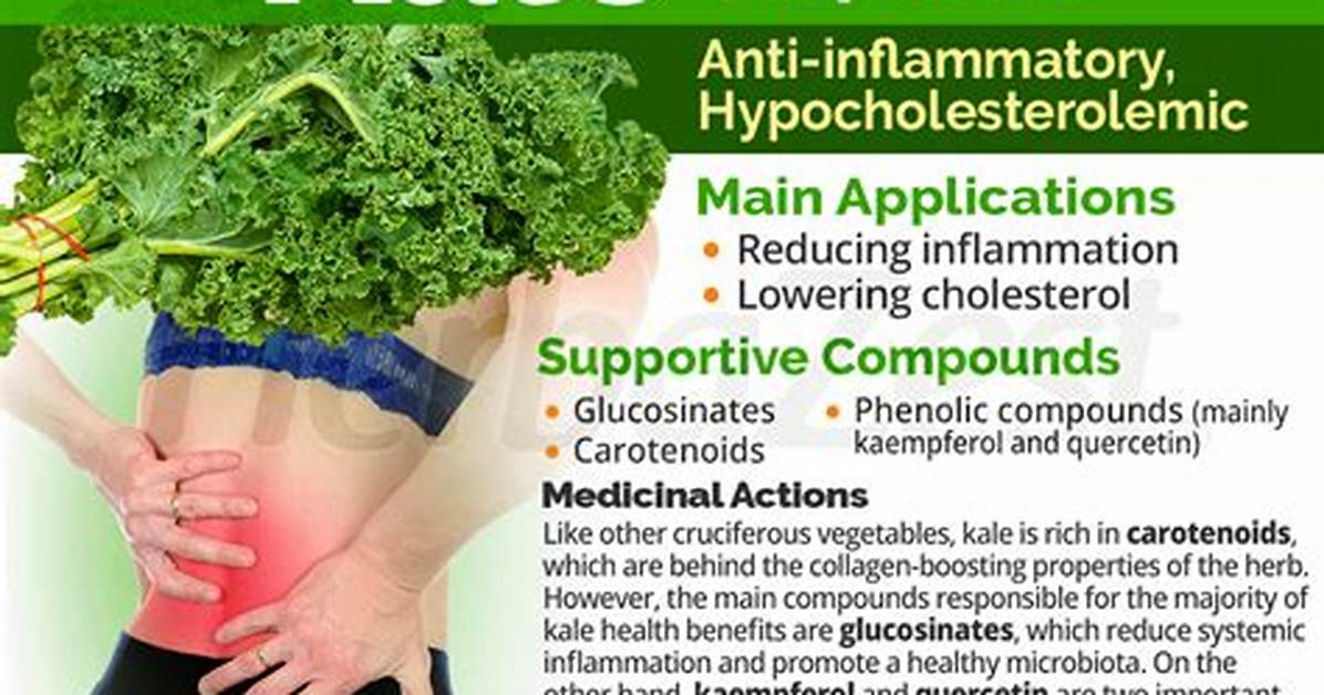 Does Kale Block Calcium Absorption