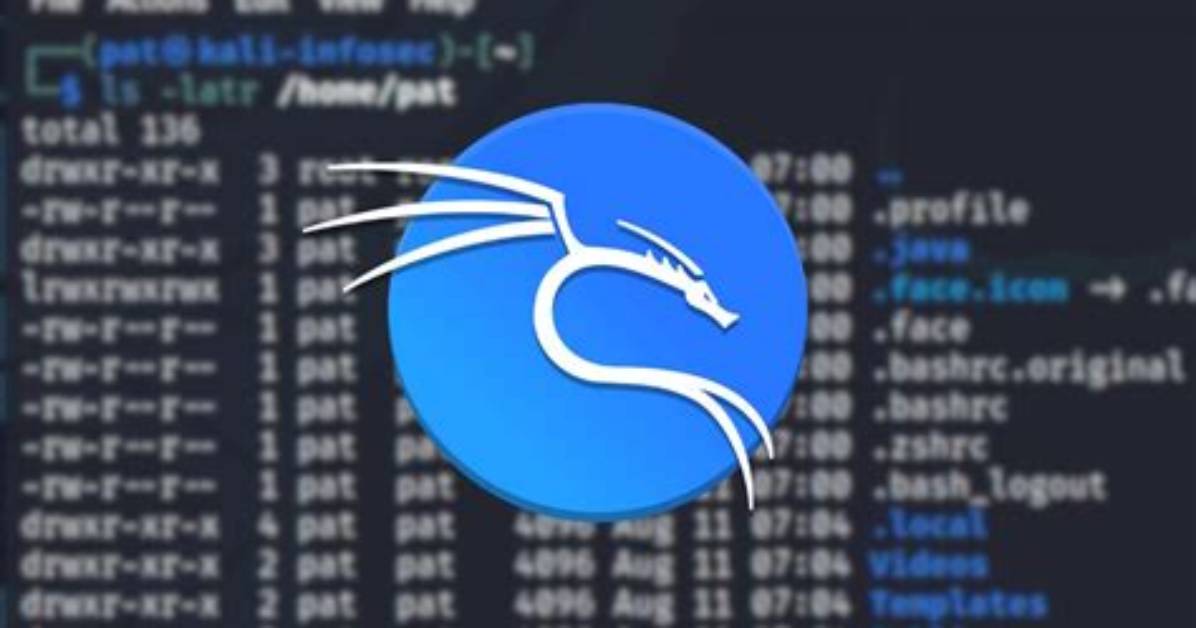 Does Kali Linux Have Tor?