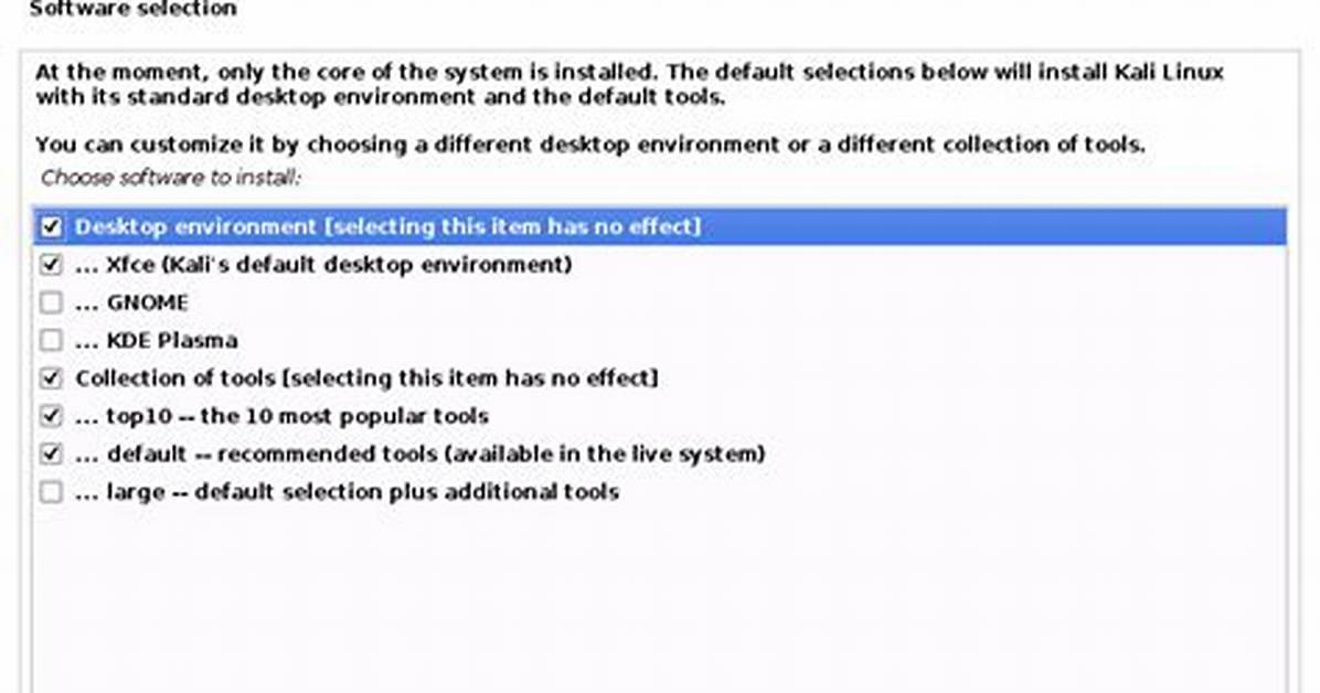 Does Kali Linux Need Internet to Install?