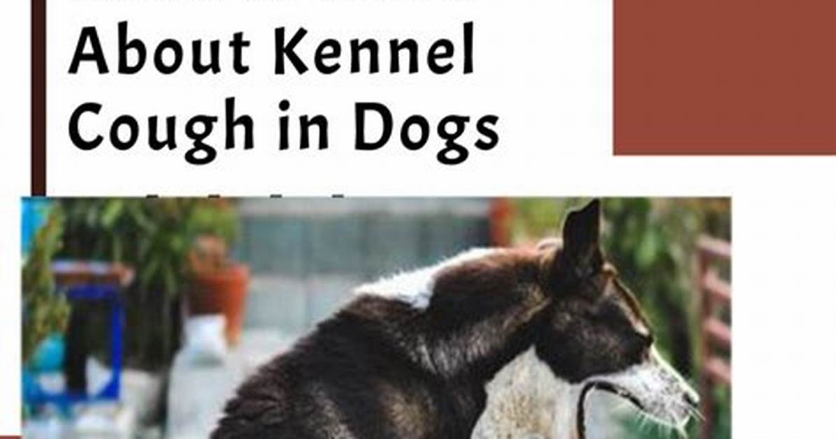 Does Kennel Cough Cause Vomiting?