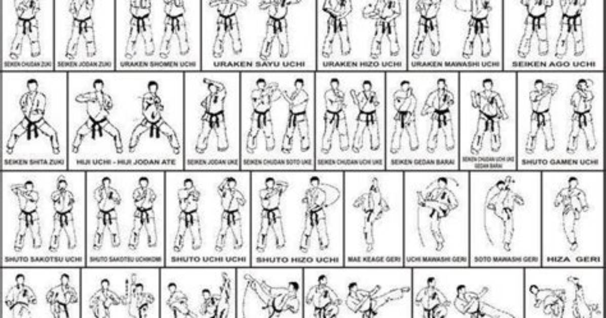 Does Kyokushin Have Kata?