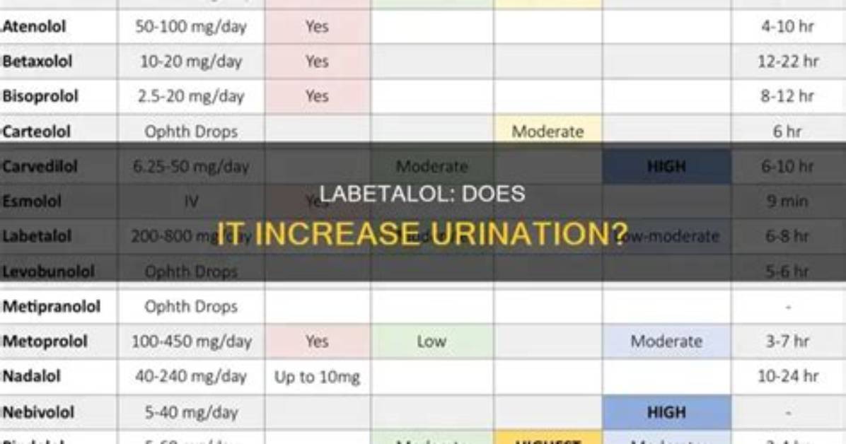 Does Labetalol Make You Pee