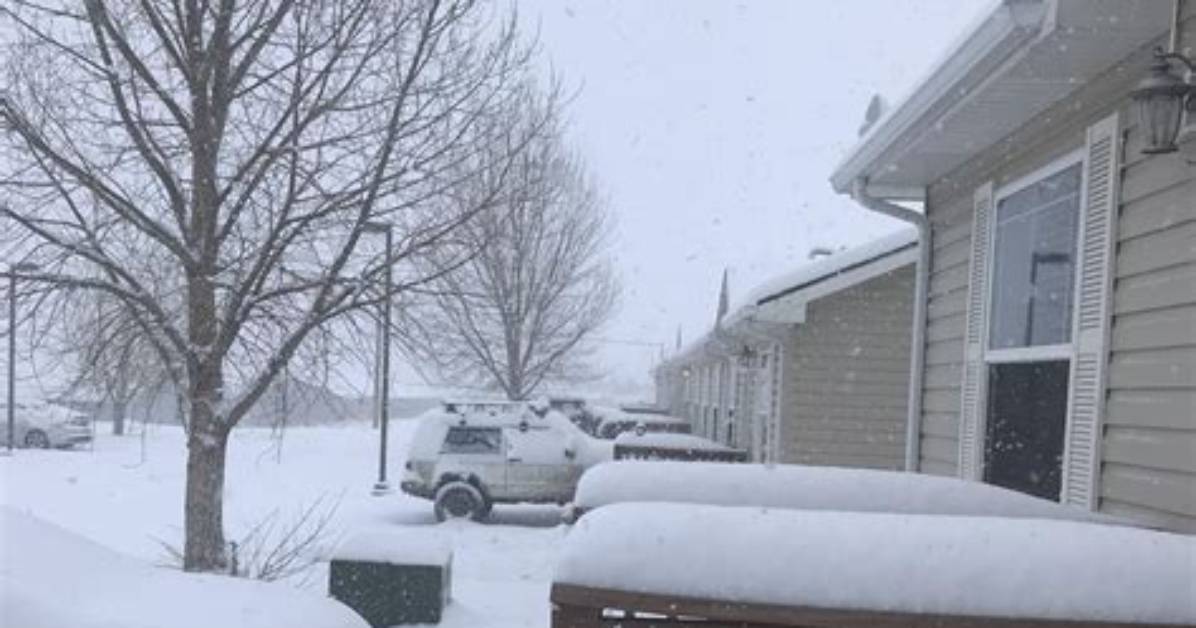 Does Ladner Have Snow?