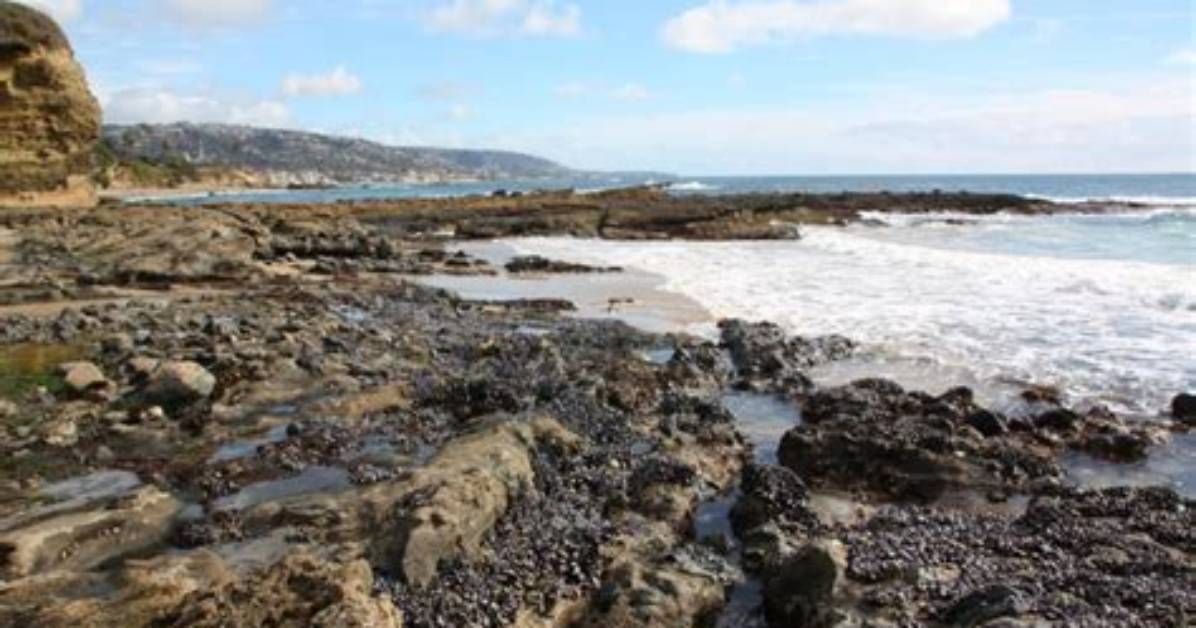 Does Laguna Beach Have Tide Pools