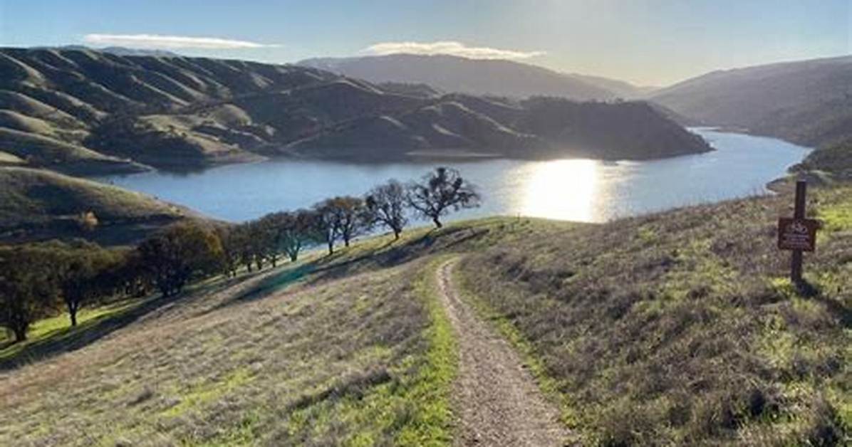 Does Lake Temescal Allow Dogs?