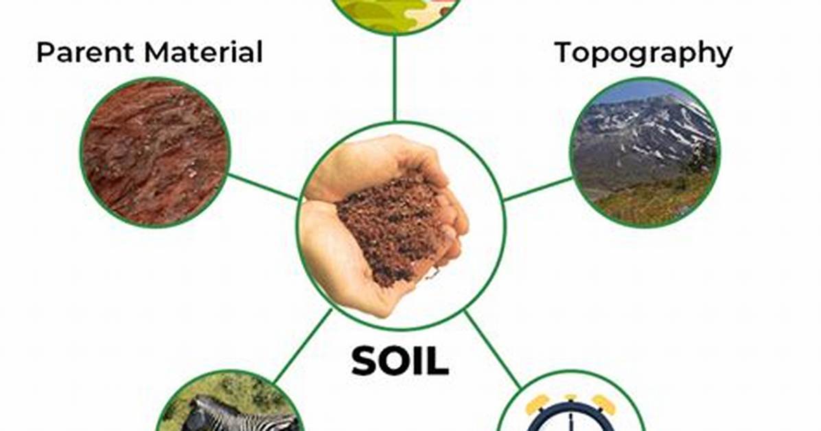Does Landforms Affect Soil?