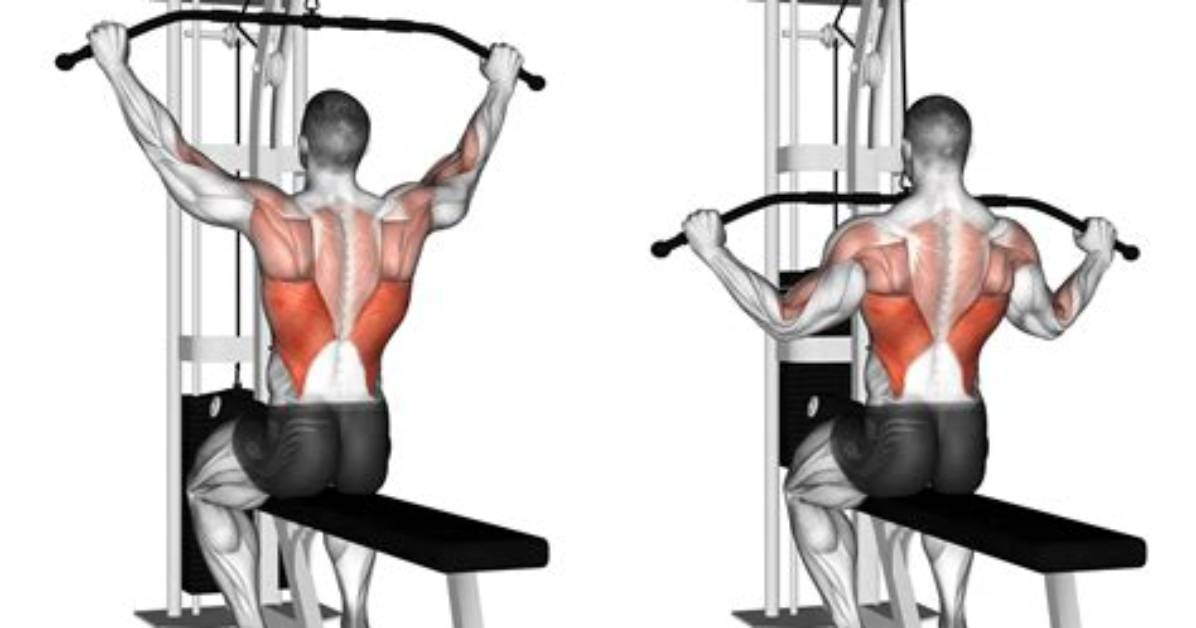 Does Lat Pulldown Work Biceps?