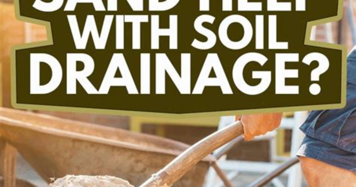 Does Lawn Sand Help Drainage