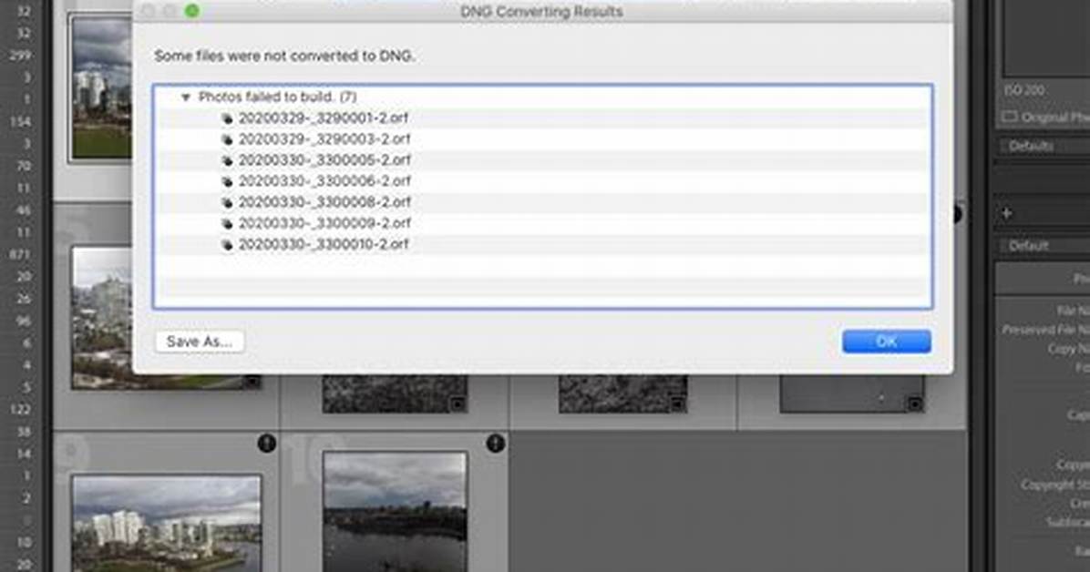 Does Lightroom 6 Support Raw Files?