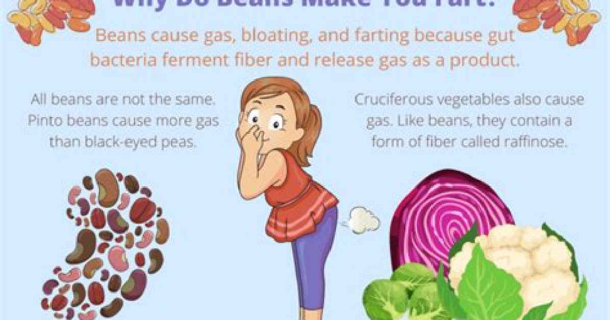 Does Lima Beans Cause Gas?